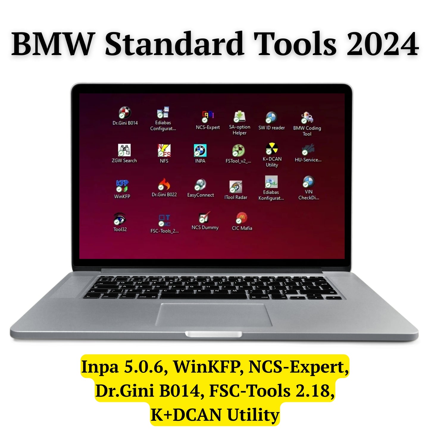Laptop screen displaying BMW Standard Tools 2024 software including BMW INPA coding tool icons by ProDiagTools