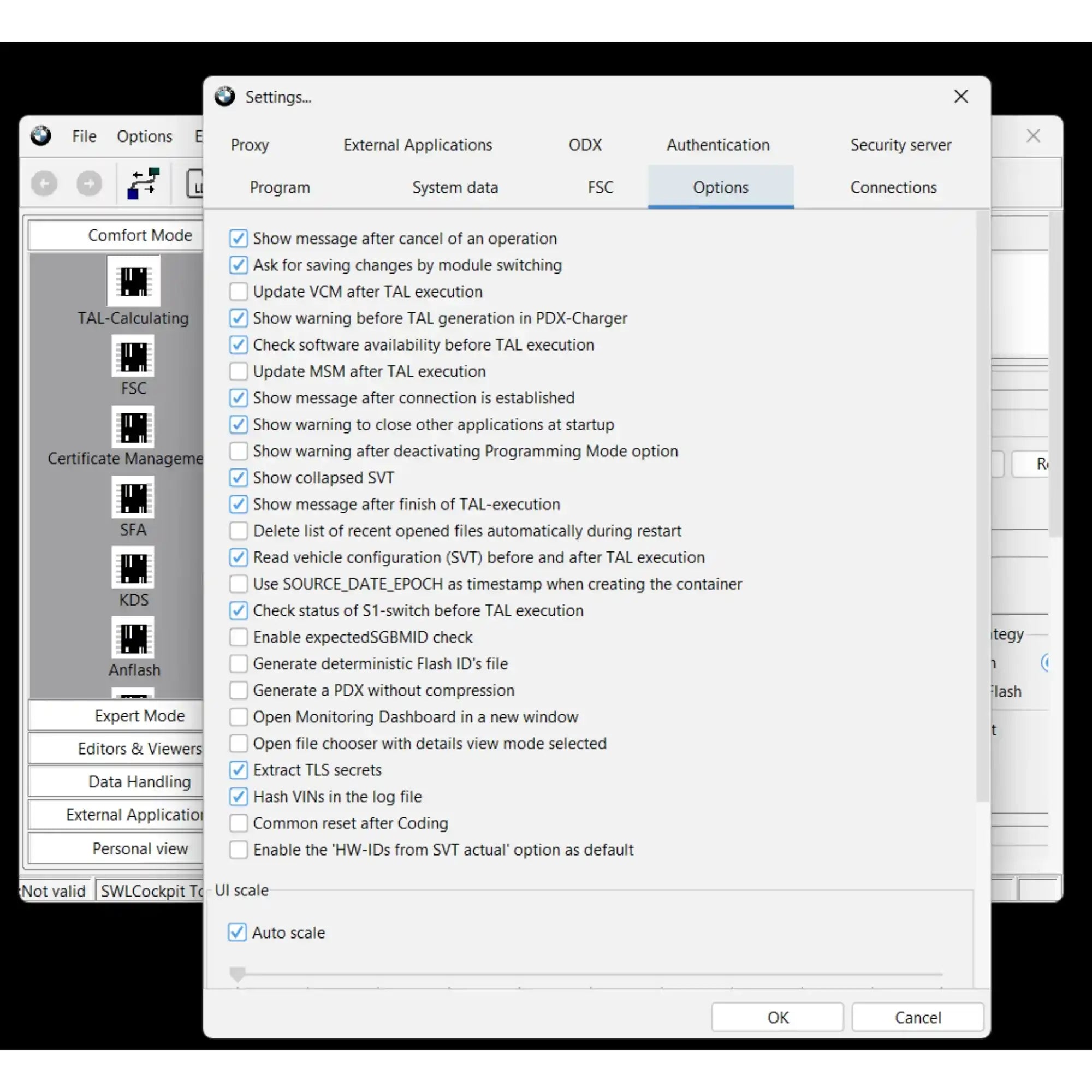 BMW E-Sys 25.10.03 options settings interface for BMW coding and ECU programming software with TAL configuration options