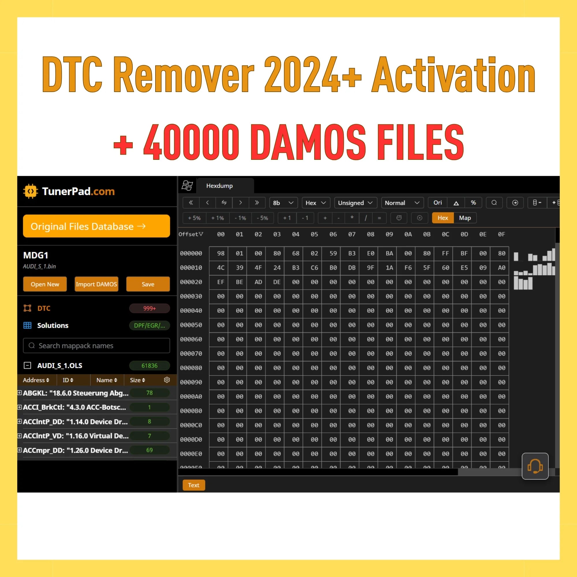 ProDiagTools DTC Remover 2024 with activation and 40000 DAMOS files on user interface