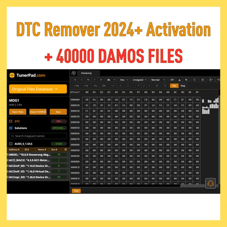 ProDiagTools DTC Remover 2024 with activation and 40000 DAMOS files on user interface